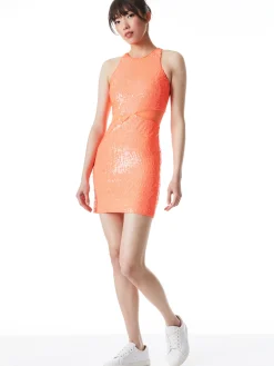 CARA SEQUIN MESH CUT OUT MINI DRESS