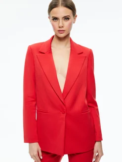 DENNY NOTCH COLLAR BOYFRIEND BLAZER