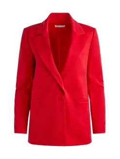 DENNY NOTCH COLLAR BOYFRIEND BLAZER
