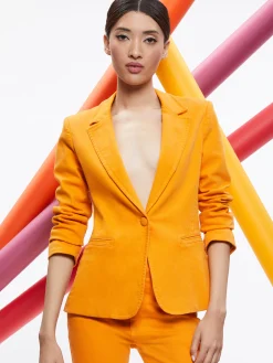 MACEY NOTCH COLLAR FITTED BLAZER + CARLI DENIM BRA TOP + BEAUTIFUL HIGH RISE BELL JEAN